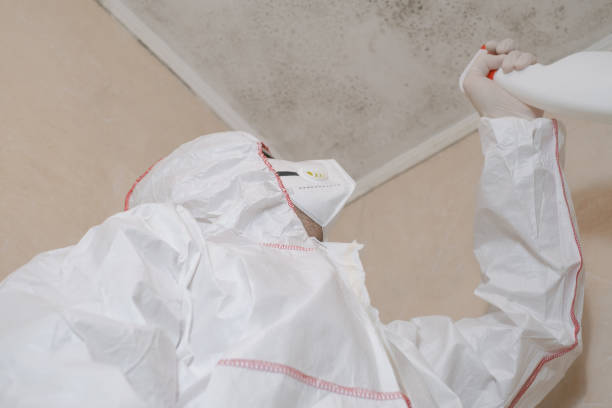 Best Certified Mold Removal  in Winfield, TN